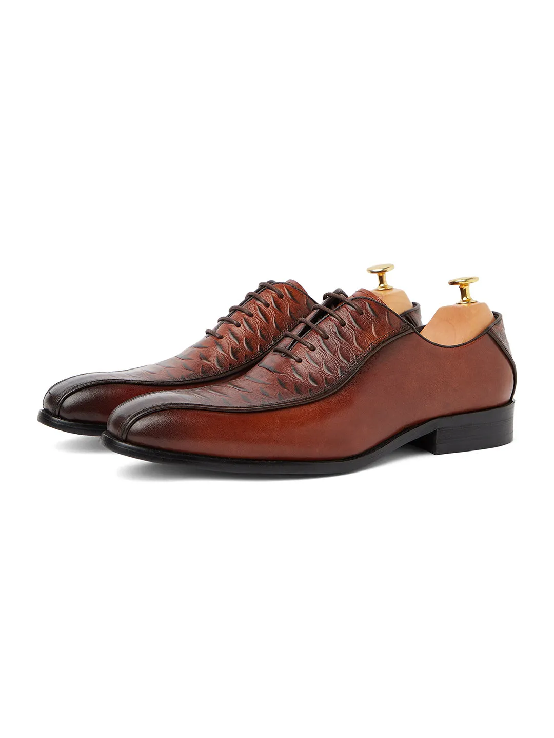 Alligator Andre Oxford - Brown