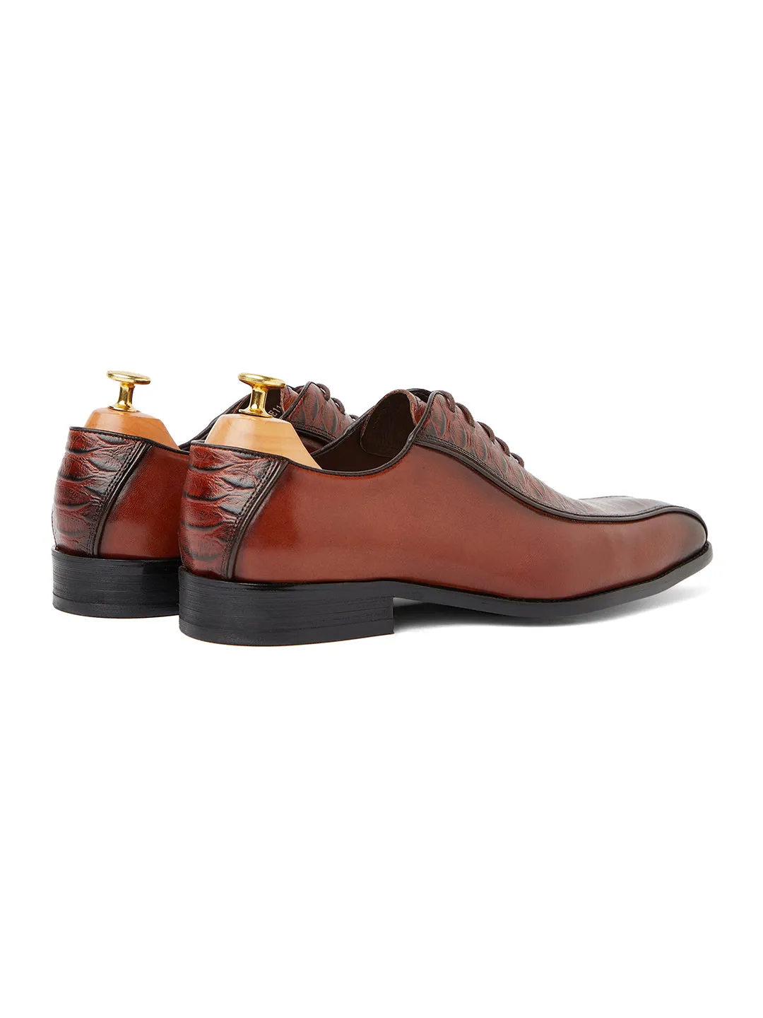 Alligator Andre Oxford - Brown