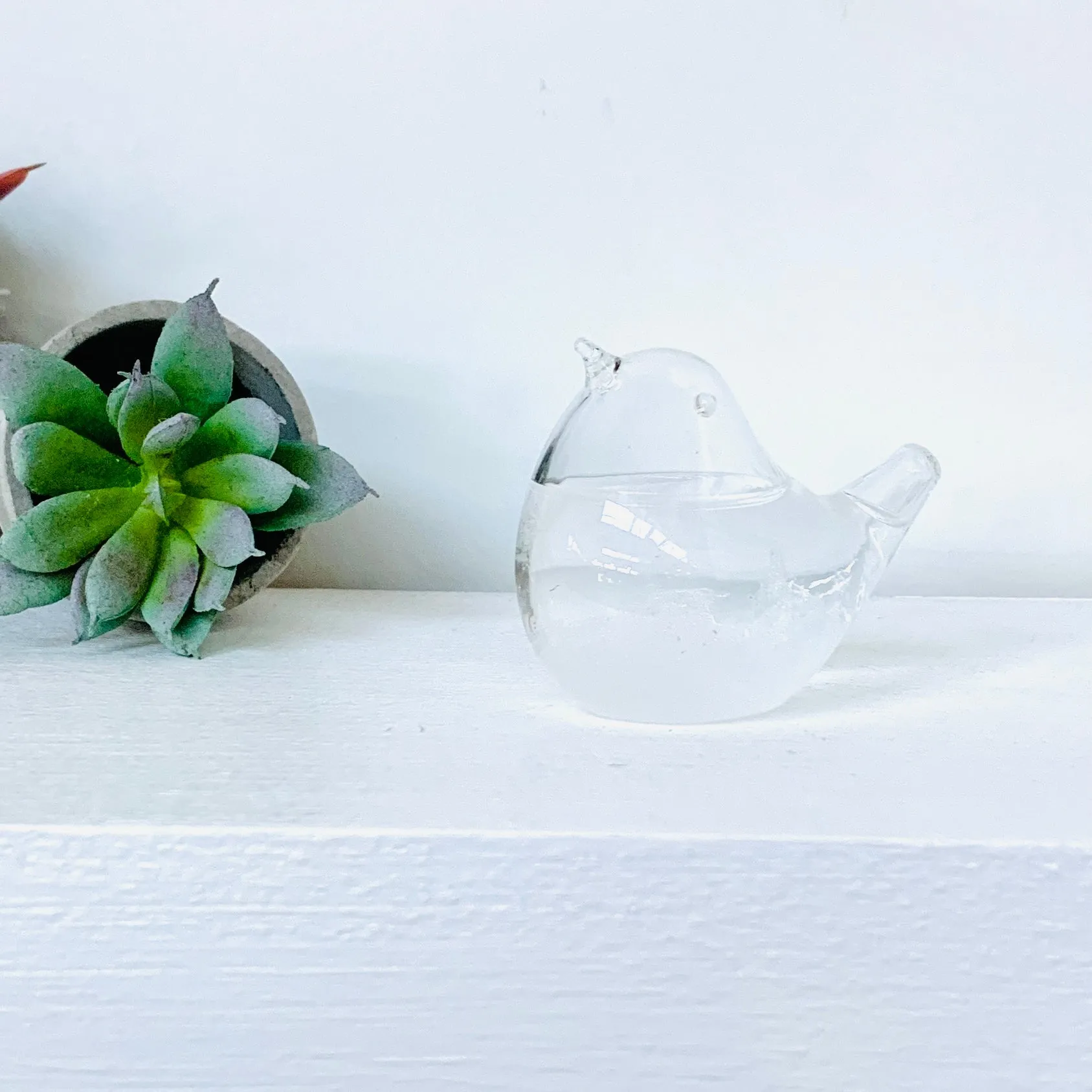 Bird Storm Glass