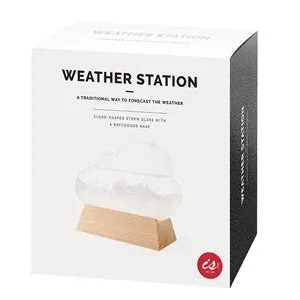 Cloud Weather Station