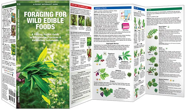 Foraging For Wild Edible Foods