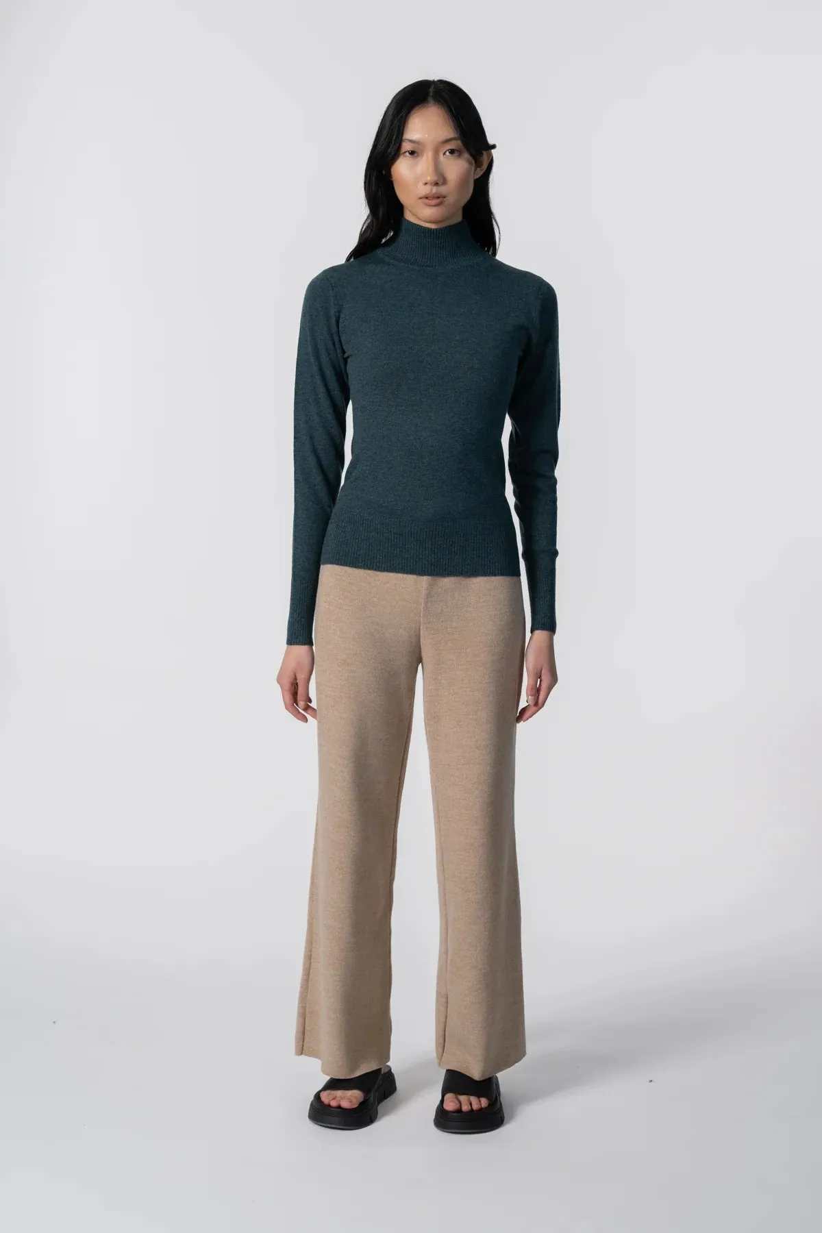 Merino Turtleneck in Dragonfly